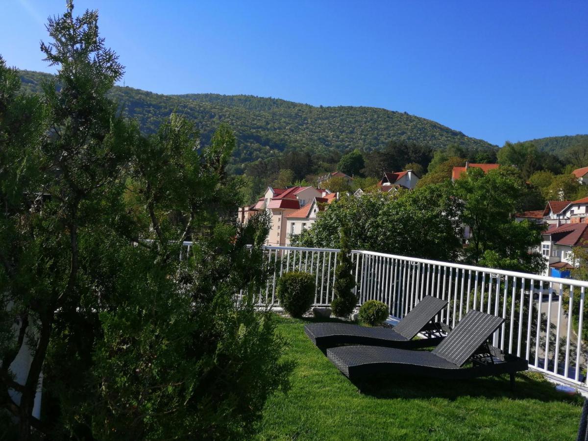B&B Nataly 2 Soko Banja Esterno foto
