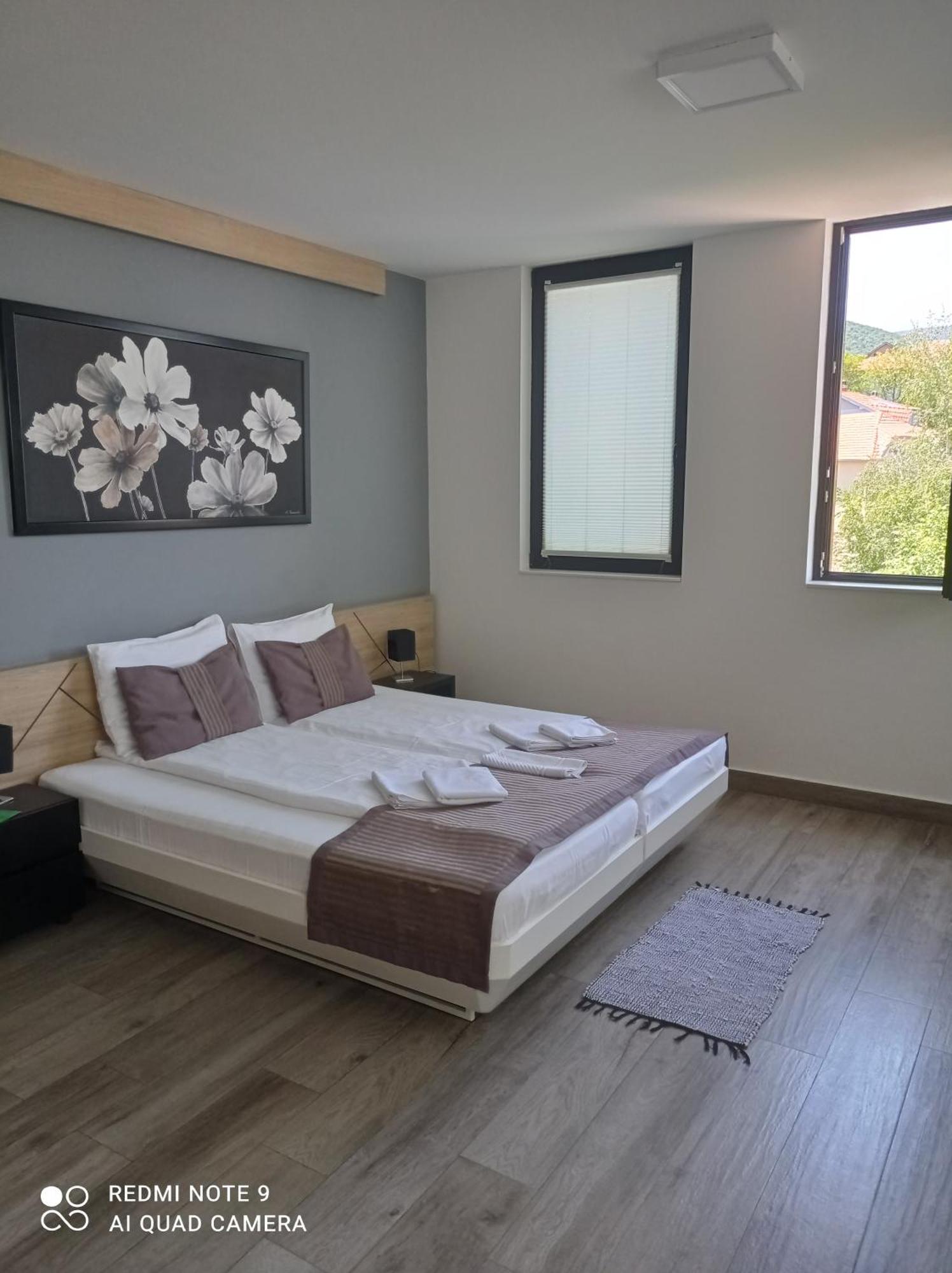 B&B Nataly 2 Soko Banja Esterno foto